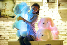LED Plush Puppy
